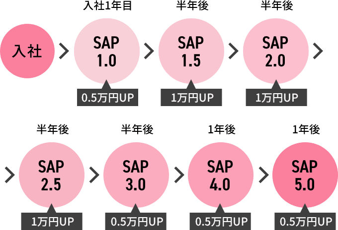 定期昇給SAP